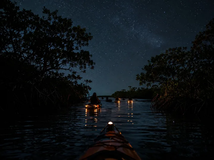 Kayaks among mangrove silhouettes at night