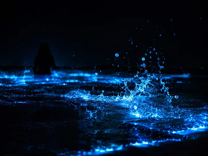 Glowing droplets splashing at night