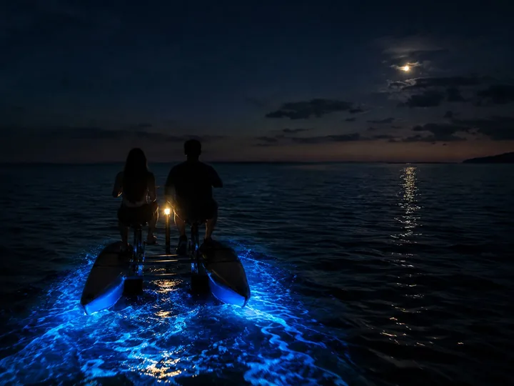 A pedal water bike on dark water at night