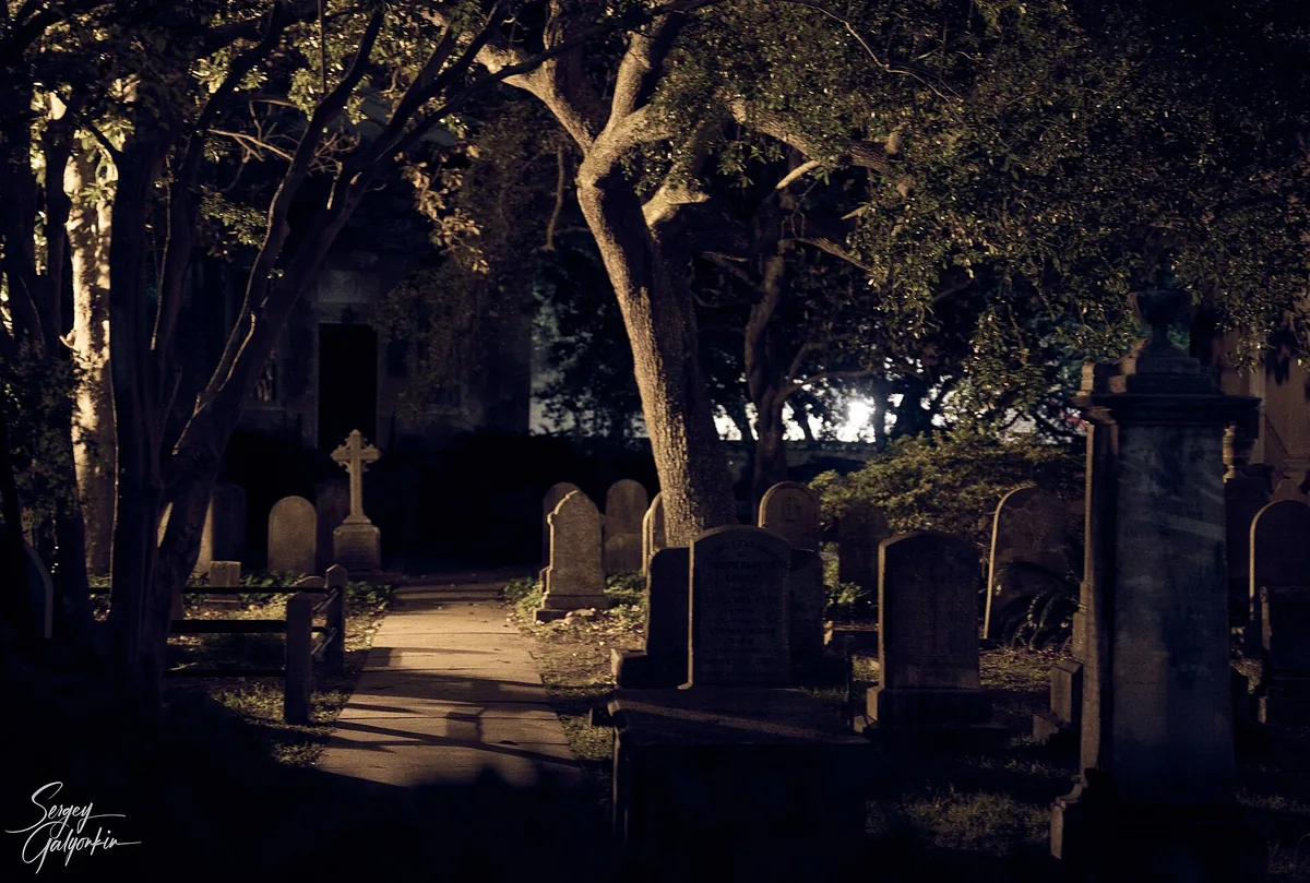 Old gravestones under live oaks in a Charleston churchyard at night