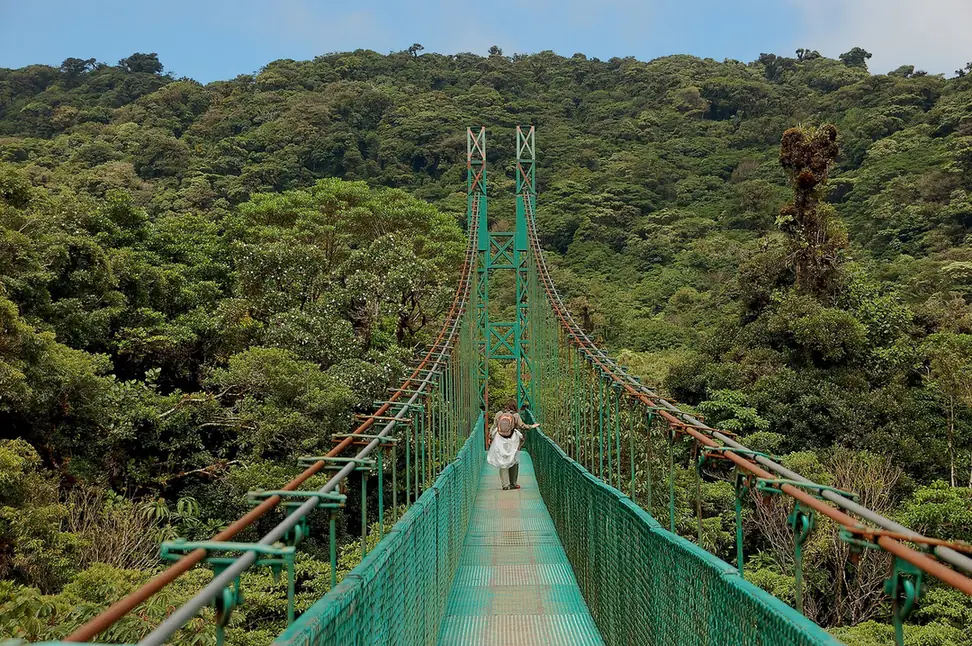 A green hanging bridge through the cloud forest canopy in Monteverde, Costa Rica, by day